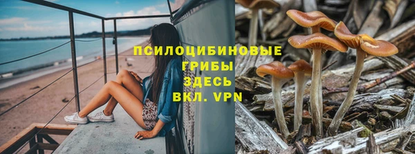 трава Алексеевка