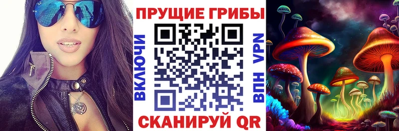 Галлюциногенные грибы GOLDEN TEACHER  купить   Оса 