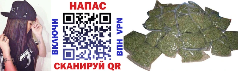 МАРИХУАНА ГИДРОПОН  Оса 